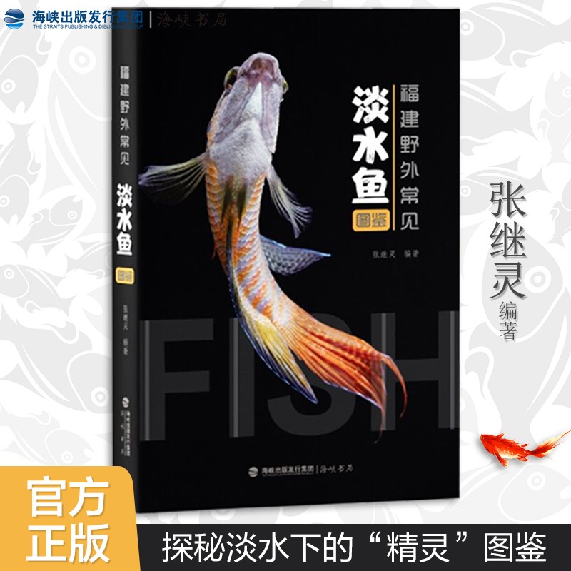官方正版 福建野外常见淡水鱼图鉴 山涧溪流鱼类河流湖泊鱼类河口鱼类金线鱼鲤鱼 自然科普百科类书籍 海峡书局出版社官方直售