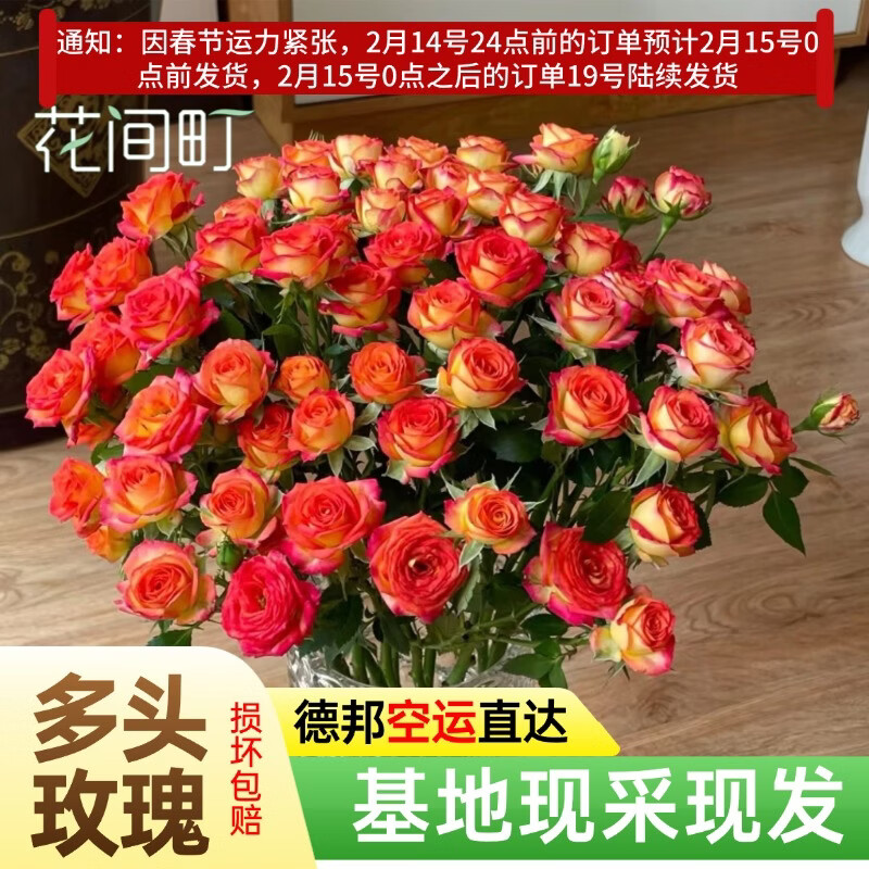 花间町爱丽丝A级多头玫瑰鲜花云南基地鲜花水养家用速递新年花源头直发