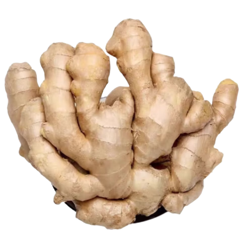 ��ϲ�� ר�� ���ʽ��� ���� �ؼ� �Ͻ� ���� �ɽ� ��ƽ� ���� ��Ʒ һ�� 2.69Ԫ