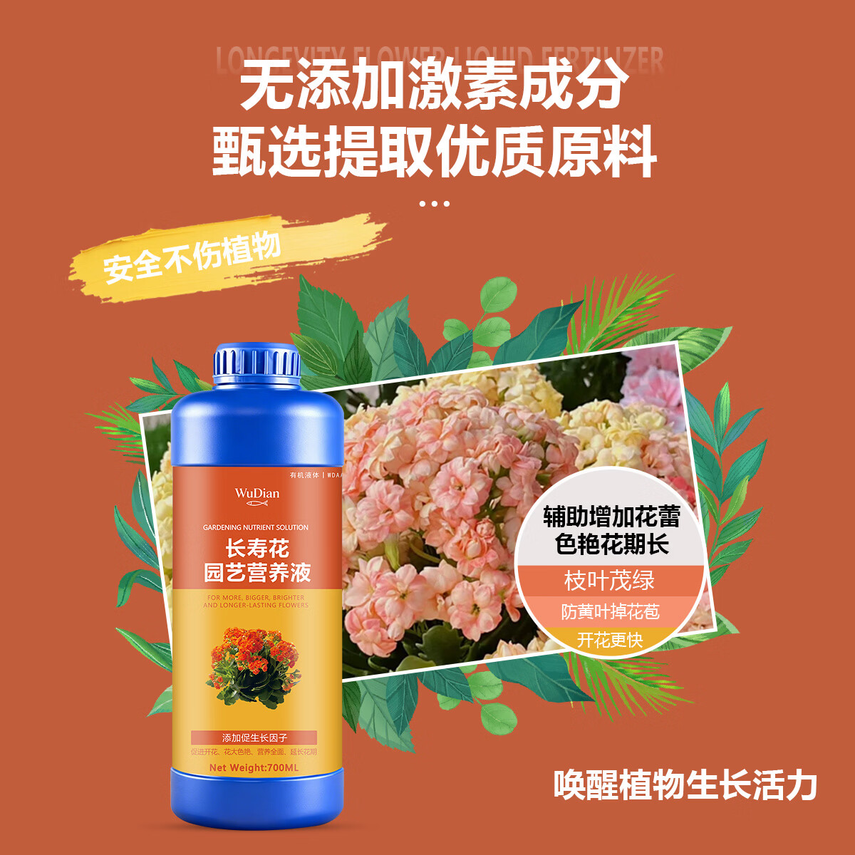 长寿花专用营养液促花肥长寿花专用肥料盆栽花肥催花开花肥专用肥 长寿花园艺营养液1100ml