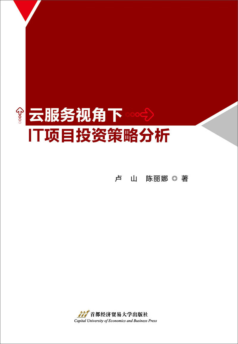 云服务视角下IT项目投资策略分析