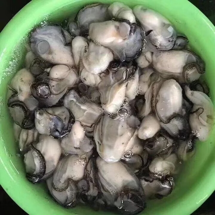 福建小海蛎生蚝现捞现剥无泡水贝类牡蛎小海蛎子肉新鲜海蛎肉批发 2000g--每斤含150克左右原浆液--介意勿拍