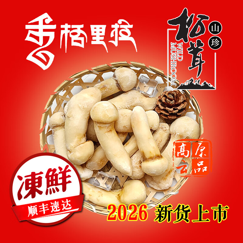 高原云品【冻鲜松茸】香格里拉出口级不开伞松茸新鲜速冻 航空冷链 6-8CM 250克