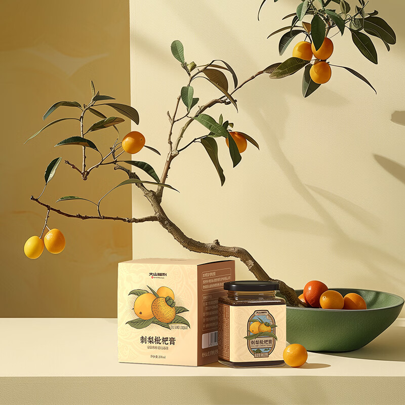 大山福利刺梨枇杷膏贵州特产伴手礼罗汉果胖大海泡水茶手工熬制补充VC瓶装 200ml*1瓶 刺梨枇杷膏