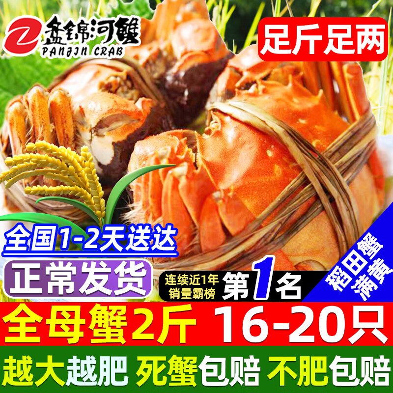 【活蟹】网兜蟹辽宁盘锦河蟹稻田河蟹礼盒螃蟹鲜活大闸蟹无绳净重 全母蟹丨1.0-1.3两【2斤】16-20只