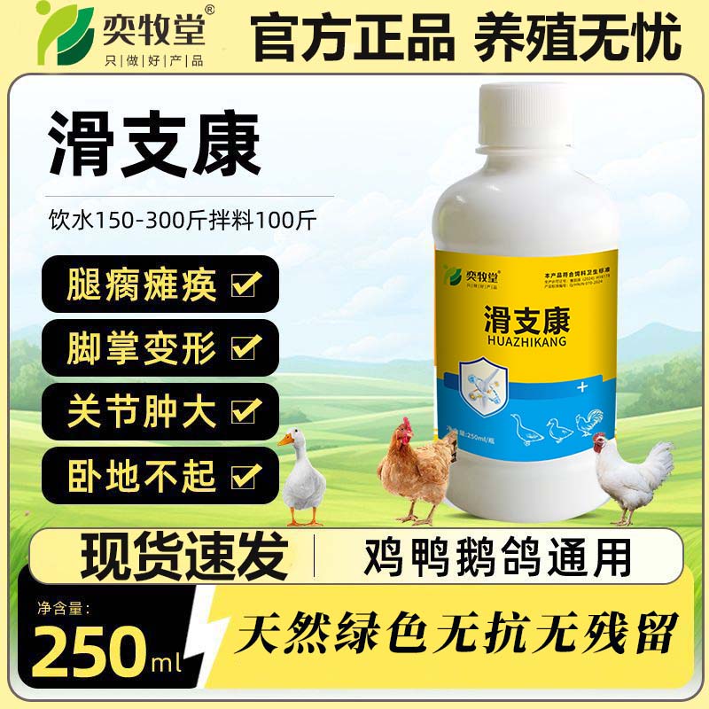 奕牧堂滑支康快速恢复鸡鸭鹅瘫痪腿瘸关节肿大滑液囊支原体【250ml/瓶】 【滑支康】-1瓶