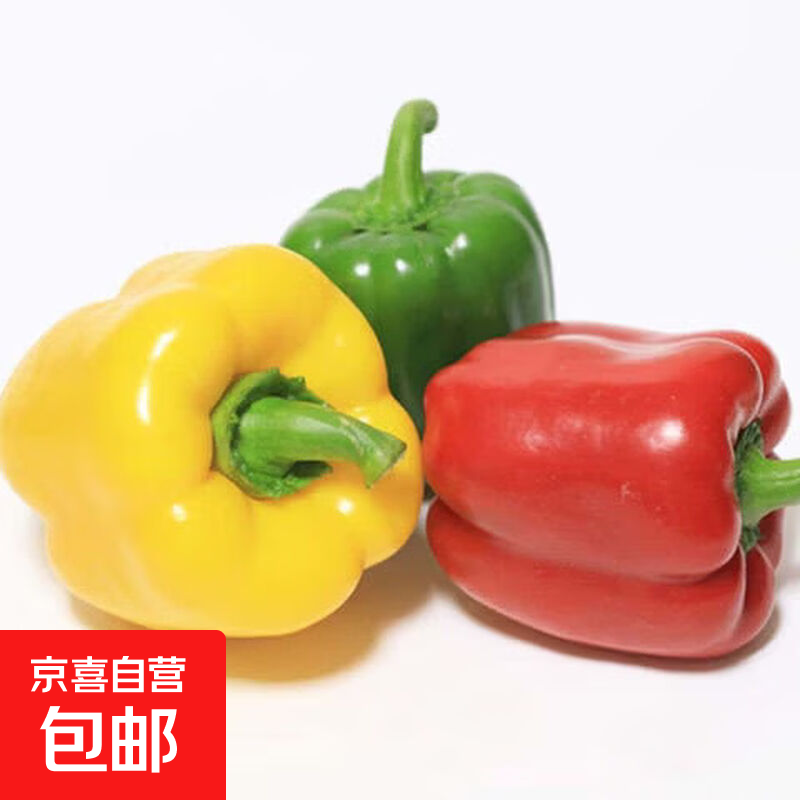 ɽ����ɫ�ʽ� �� ������ժ ��ɫ ����4�� 25.7Ԫ����ɫ��6.43һ����