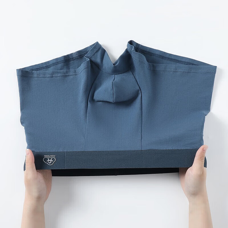 芬腾内裤男式内裤中腰10A简约平角内裤4条装 灰色/墨兰/灰紫/蓝色 4条 2XL