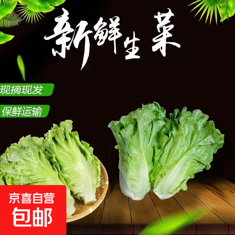 ����������������� ���ʼ�ʳɳ���߲� ����2�����1.6� ��ͷ��ժ 4Ԫ