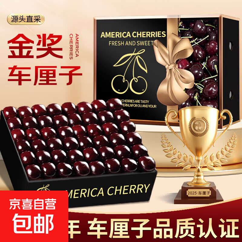 智利车厘子【现货】【JD包邮】大樱桃水果礼盒年货 100g(净重) 尝鲜装-非礼盒-约10-14粒 小果 XL 单果24-26mm