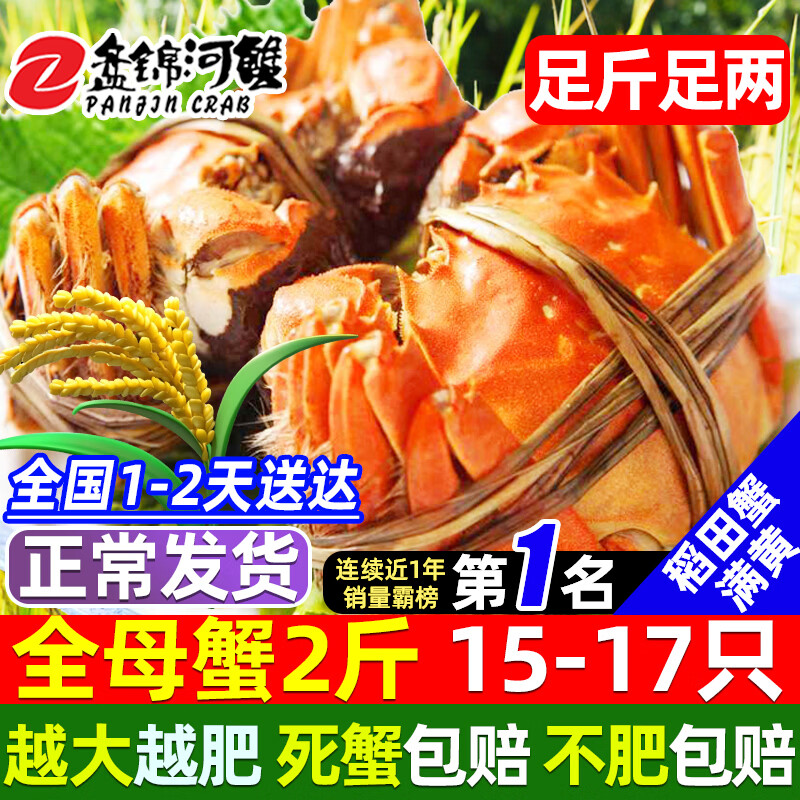【活蟹】网兜蟹辽宁盘锦河蟹稻田河蟹礼盒螃蟹鲜活大闸蟹无绳净重 全母蟹丨1.2-1.4两【2斤】15-17只