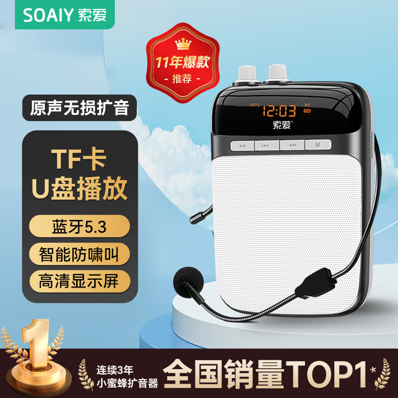 索爱（soaiy）S318小蜜蜂扩音器教师专用蓝牙音箱音响小喇叭TF卡U盘录音麦克风户外导游便携式教学Type-c 黑