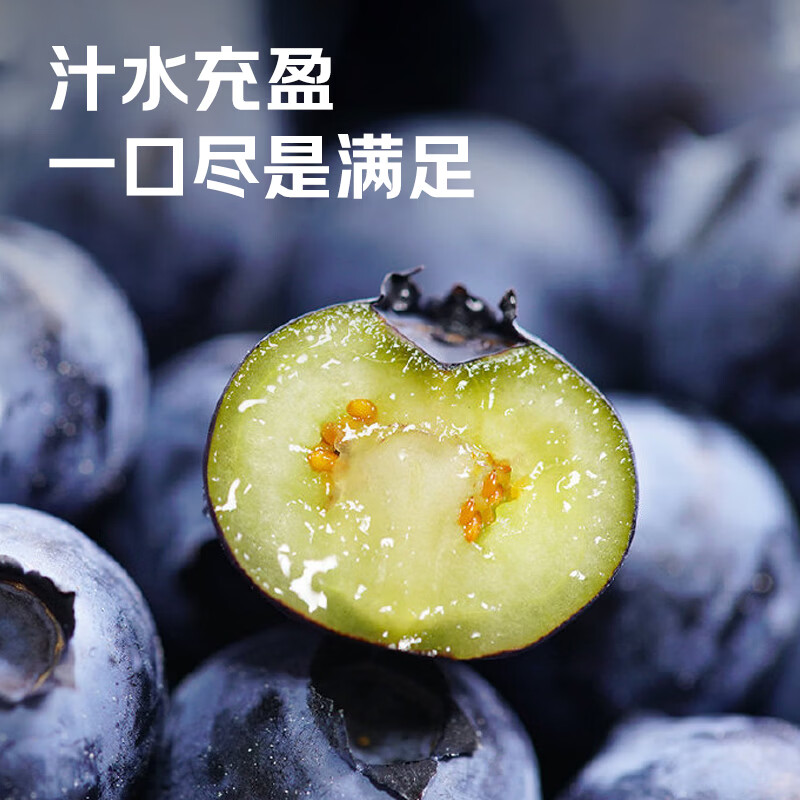 田拾记云南蓝莓【JD-多地次日达】巨无霸花香蓝莓超大果新鲜水果送礼 【单果15mm+】甄选大果·爆汁甜 4盒·单人畅吃】100g-125g/盒-越多越划算