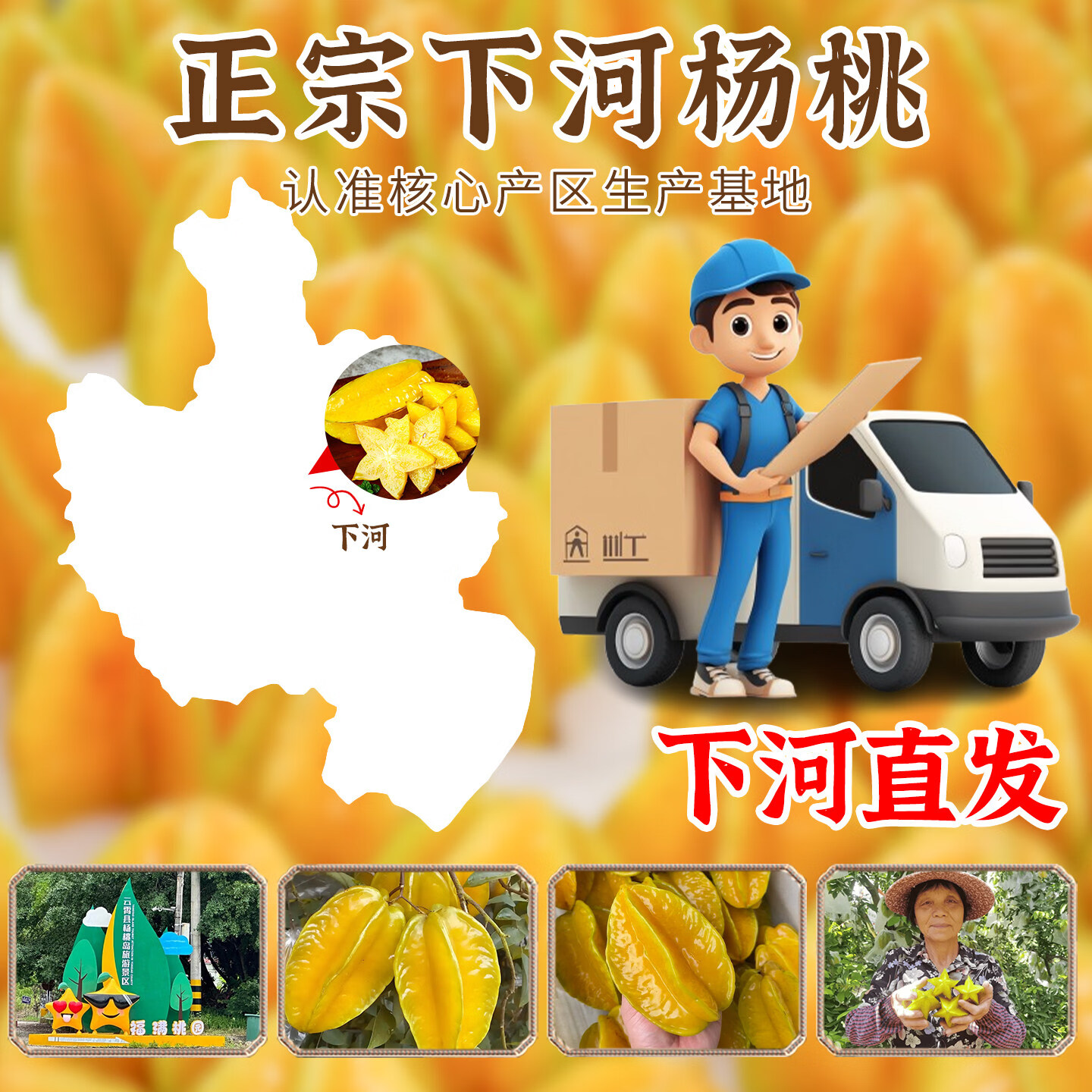 顶掌柜福建漳州特产应季杨桃5斤新鲜水果整箱包邮当季现摘脆甜多汁大果 5斤 【单果4-5两】清甜爆汁，高性价比