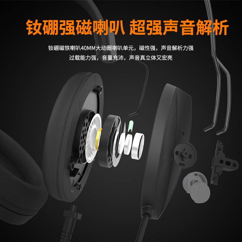 电音 D9000 学英语电脑耳机 头戴式带麦克风英语听力考试有线耳机 网课口语学习降噪笔记本耳麦电教学 USB接口 -内置声卡 听说考试降噪