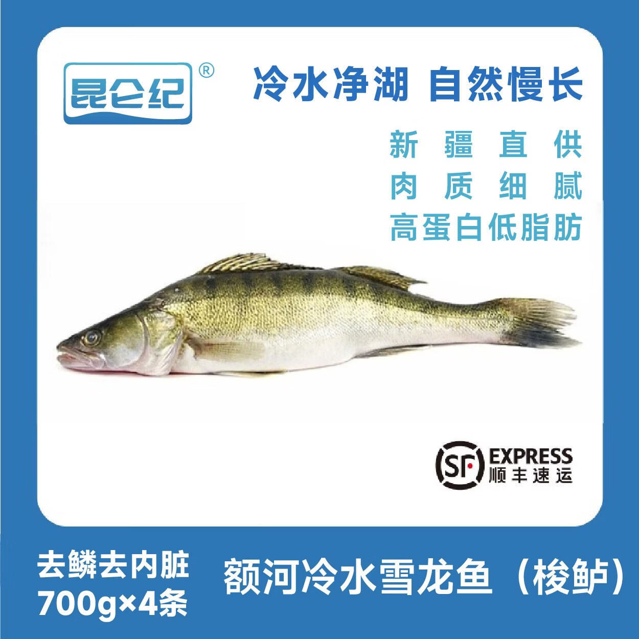 昆仑纪额尔齐斯河冷水鱼野生梭鲈鱼雪龙鱼整条鱼装急冻锁鲜去鳞去内脏 额河冷水雪龙鱼（梭鲈）700g×4条 京东折扣/优惠券