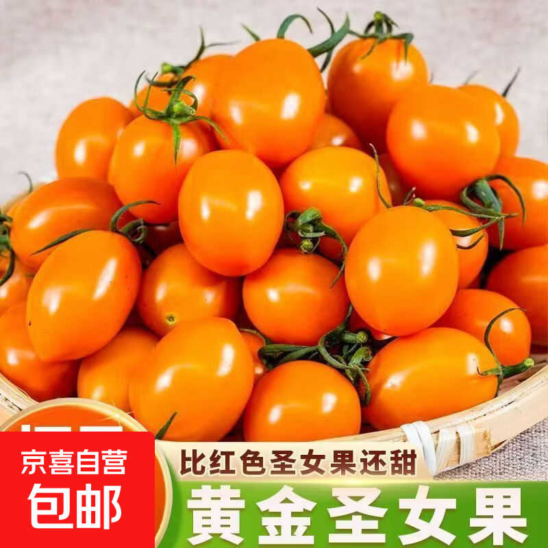 广西柿季辉煌圣女果樱桃小柿子黄色玲珑小番茄寿光现摘现发 带箱2斤净重1.8斤单果6g+