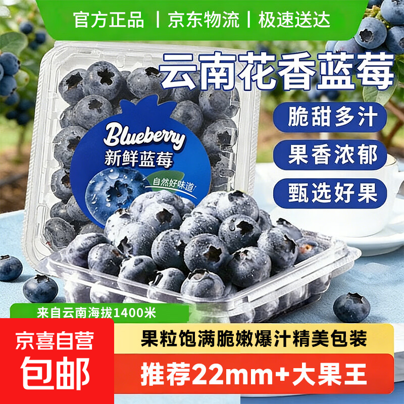 云南蓝莓礼盒装鲜果新鲜水果超大果巨无霸高山花香蓝梅应当季整箱 6盒-JD直达【100g/盒】 甄选果【单果22mm+】