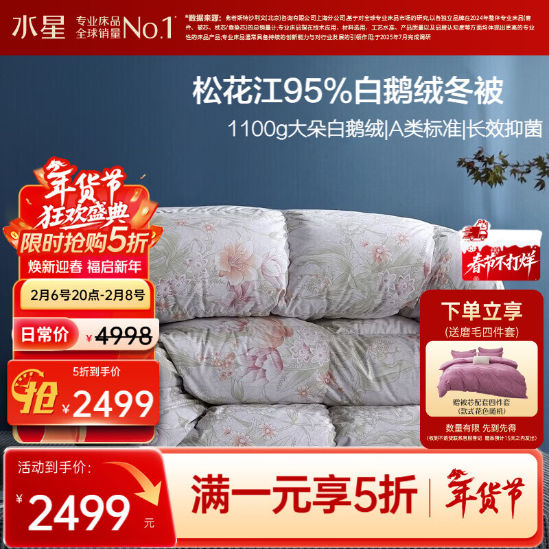 水星家纺羽绒被95%白鹅绒被子冬季加厚冬被芯双人羽绒被220cm×240cm-1100g
