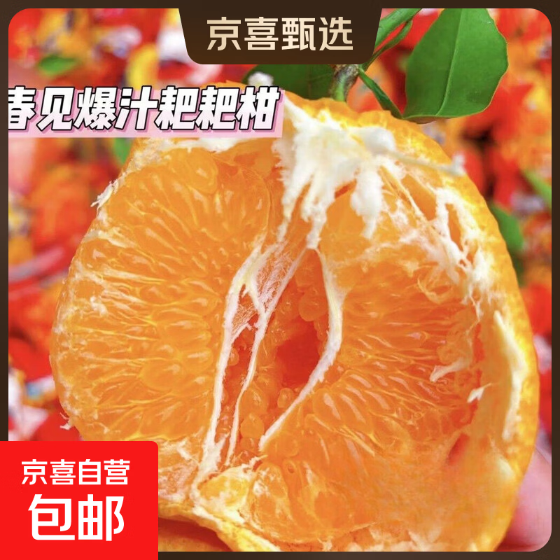 四川不知火丑橘丑柑热销应季时令水果柑橘礼盒果园源头直发 带箱3斤 【单果130g-180g】单人份 JDL  京东快递-更好更快