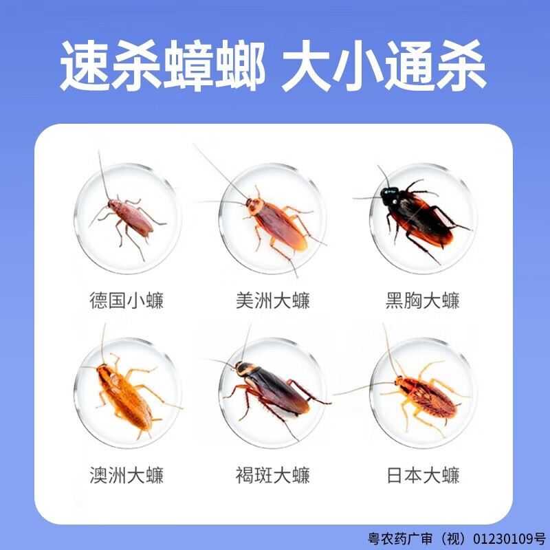 超威蟑螂药杀蟑饵剂灭蟑螂厨房蟑螂胶饵家用安心小强药连环诱杀非无毒 10g 2支