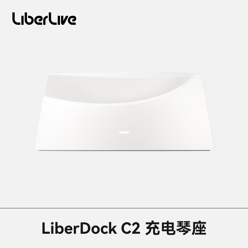 LIBERLIVE C2无弦吉他充电琴座