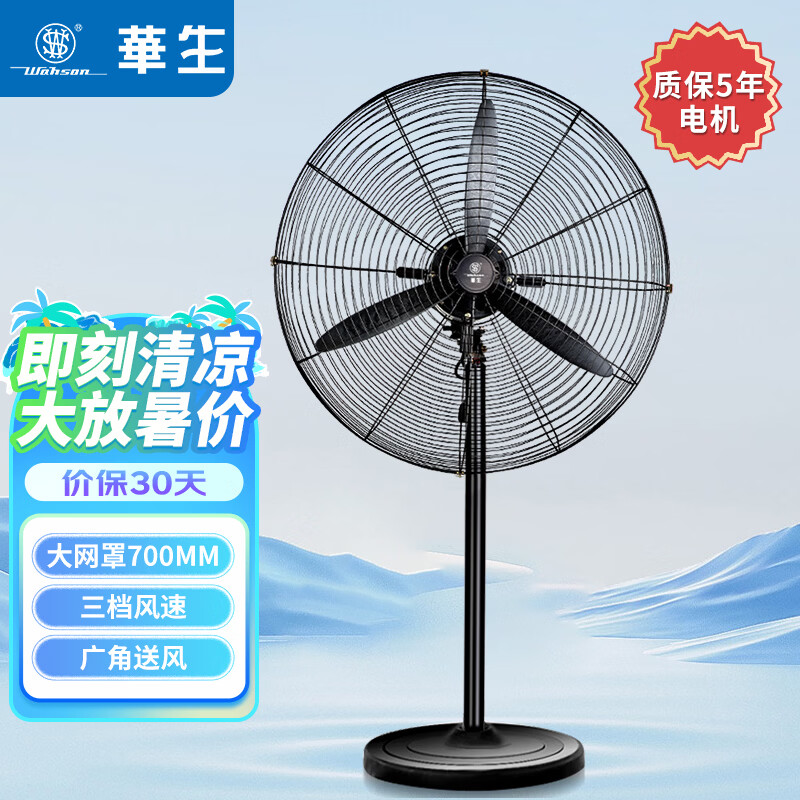 华生(Wahson) 工业扇电风扇/落地扇大风量工厂车间工业风扇/商用扇牛角扇工业电扇企业推荐 【26寸】650落地扇 塑钢叶FL65-1
