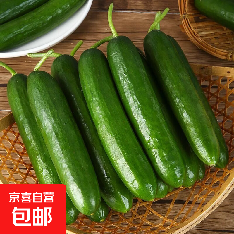 京喜水果黄瓜新鲜 现摘现发 皮薄多汁 凉拌生吃生鲜 皮薄多汁带箱 3斤