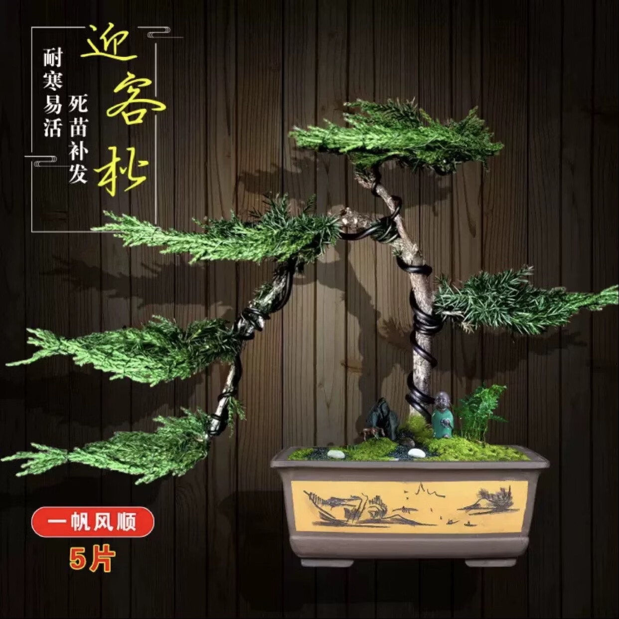 创意盆景地柏树苗迎客松造型真树盆栽手工编制室内外绿植四季常青 一手遮天+知足常乐陶瓷盆 原土球发货/送红色塑料盆