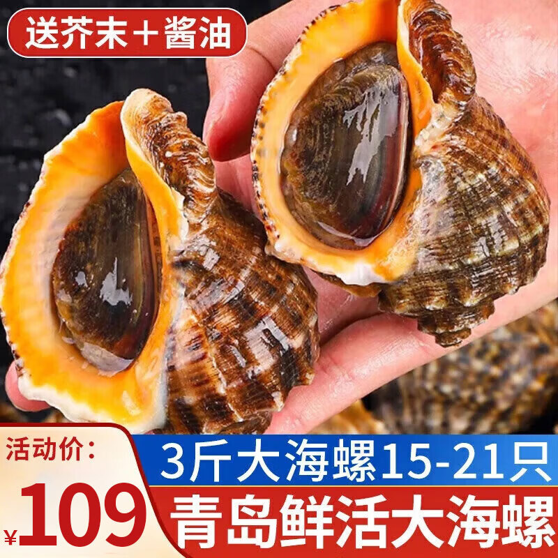 朵芙【鲜活】青岛大海螺 当天海捕 1500g净重特大海螺不包活 海鲜贝类 大海螺15-21只 1500g