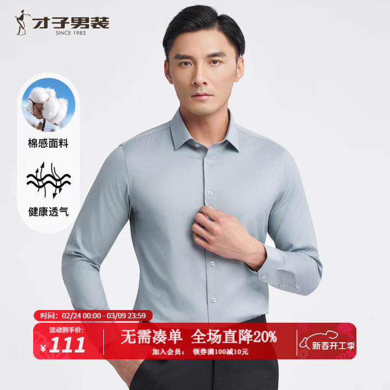 才子（TRIES）优质棉感男士长衬衫柔软顺滑挺括有型商务休闲职业男衬衣 灰绿色 XL 40(175/92A)
