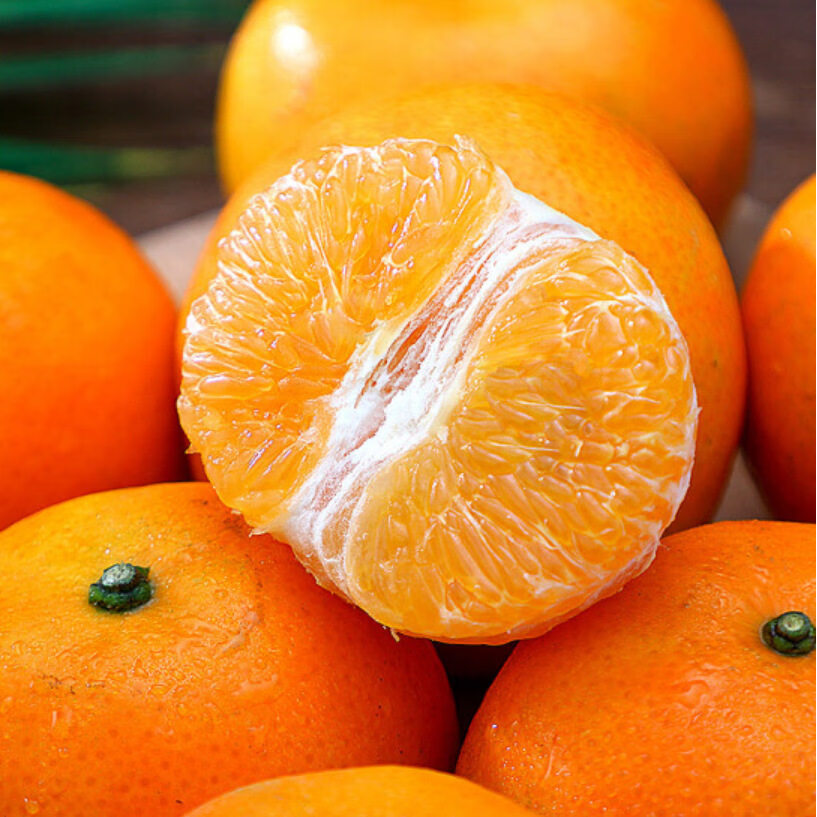 JDBMO沃柑现摘新鲜爆甜水果当季柑橘蜜桔子整箱 5斤实惠装净重4.5斤 60-65mm丨高性价比