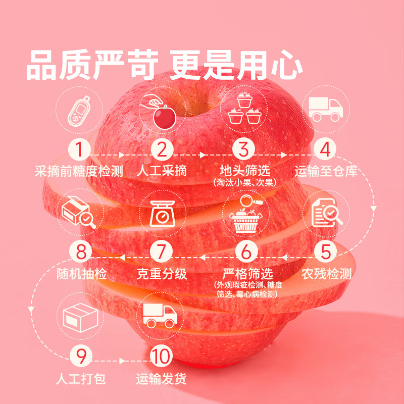 东方甄选洛川苹果水果新鲜当季整箱时令生鲜脆甜多汁4斤-8.5装过年年货 5斤(中果200g+ 8-12个)