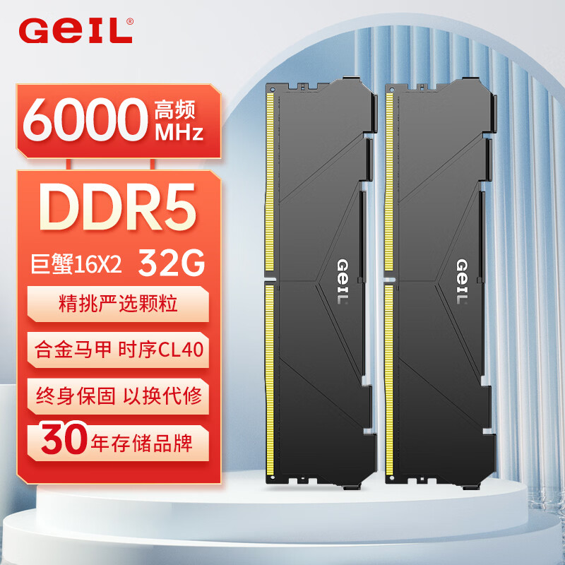 GEIL金邦巨蟹 DDR5内存条 台式机电脑内存条 5代内存条 马甲条 RGB灯条 运行内存条套条 适配9800X3D 32G(16G*2)6000C40黑色