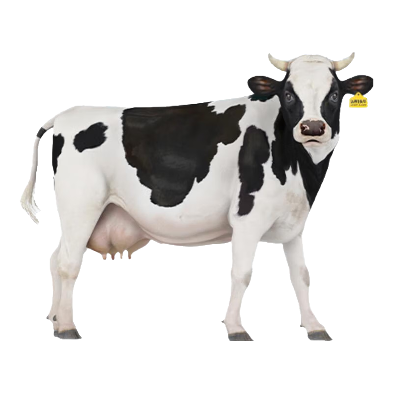 认养一头牛【渠道】纯牛奶粉  100%生牛乳 原生高钙高蛋白 全家 送礼送长辈 700g*2罐