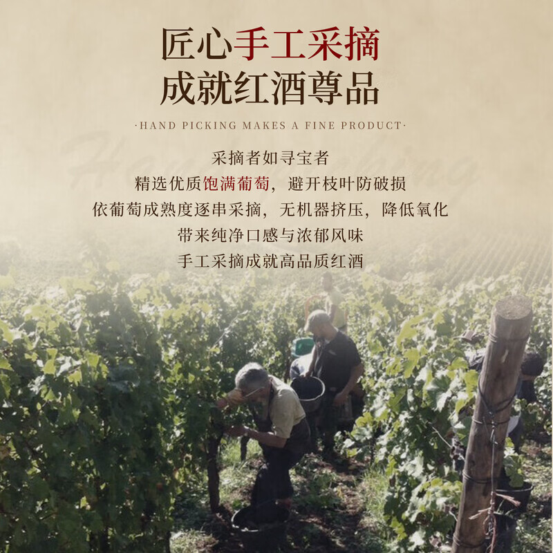 路易拉菲(LOUIS LAFON)法国进口红酒特藏梅洛13度干红葡萄酒750ml*2瓶双支礼盒年货送礼 【稀缺13度】特藏双支礼盒