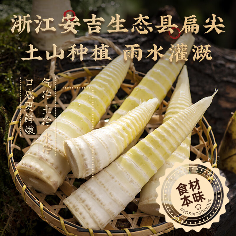 豊收日 火腿麻鸭煲半只1200g 半成品预制菜鸭汤煲现货速发年夜饭年货 火腿麻鸭煲1.2kg