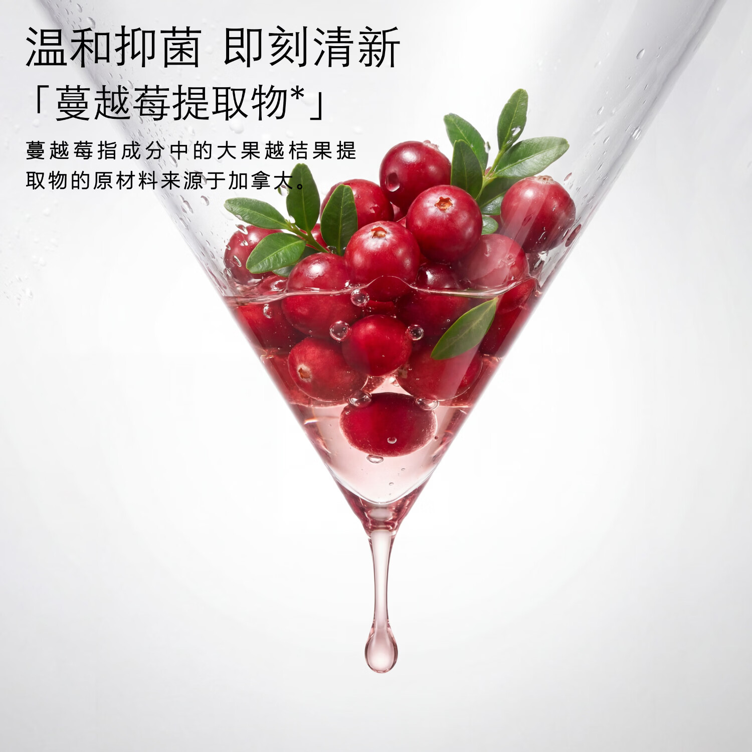 ABC蔓越莓私处洗液男士私密清洁液女性私护抑菌洗液 220ml【日常清洁|蔓越莓精粹】