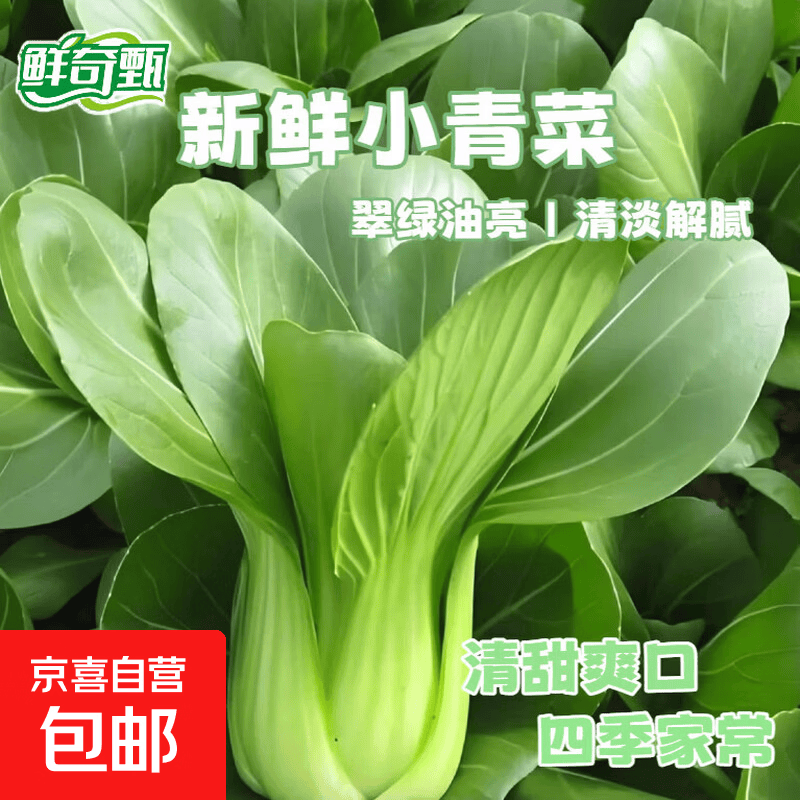 【春日尝鲜】新鲜小青菜绿叶小油菜减脂蔬菜火锅买菜生鲜京东包邮 小青菜1斤装【含箱】净重0.8斤 时令蔬菜