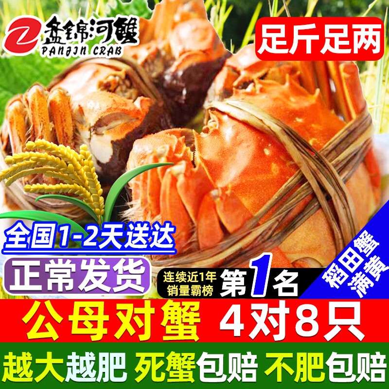 【活蟹】网兜蟹辽宁盘锦河蟹稻田河蟹礼盒螃蟹鲜活大闸蟹无绳净重 公母对蟹丨2.2-2.5两【4对】8只