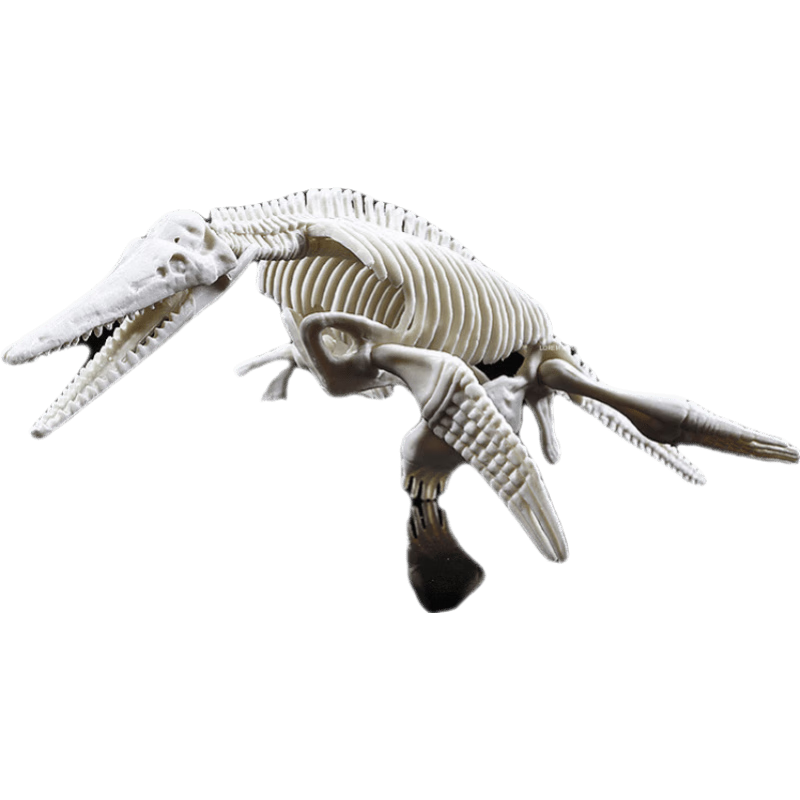 憨小伙精选恐龙骨架化石考古diy挖掘儿童过家家玩具霸王龙剑龙模型玩