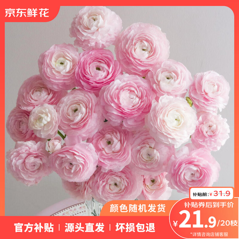 女神节必抢！ToSpring 洋牡丹 20 枝昆明直发，到手仅 21.9 元