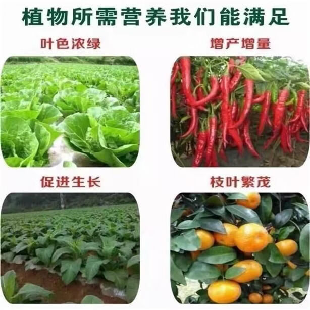 正品俄罗斯进口硫酸钾原包装钾肥果蔬小麦玉米通用农用高钾水溶肥 【新款原包装正品】50斤*1袋+快递包邮到乡镇