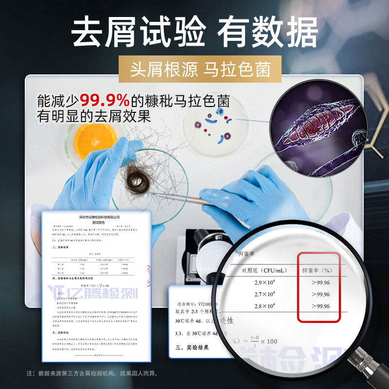 采乐去屑止痒洗发水男女同康清爽柔顺留香洗发乳 【日用控油】去屑控油 400ml*1瓶