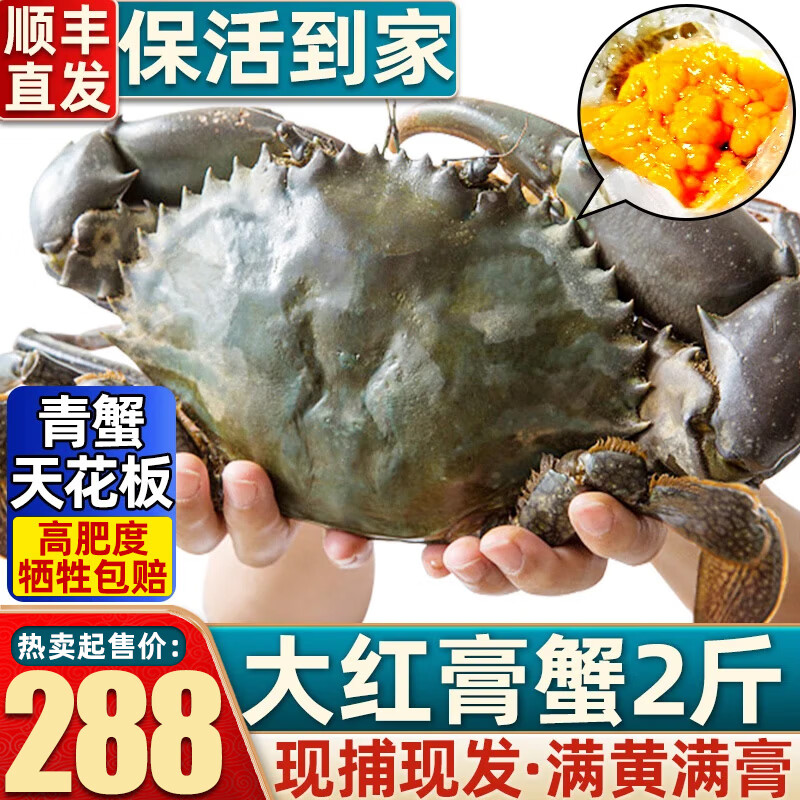 ����з-����ҡ��ʻ�Խ����з����ʻ���з����зĸ���з �ش���з  3��4-6ֻ����558�� 558Ԫ