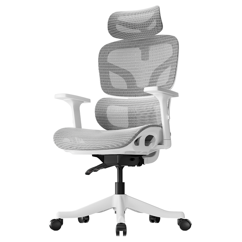 ���׹������� B1 Pro ���幤ѧ�� �ư� ���Ե羺�칫�� ѧϰ�鷿���� 352.75Ԫ�����׹���