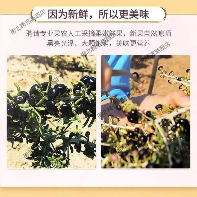 南京同仁堂青海黑枸杞天然花青素养颜枸杞泡水正宗 90g南京同仁堂黑枸杞 1g 1罐* 1罐