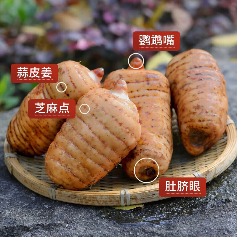 云南新鲜乌天麻【昭通小草坝】搭正宗仿野生特级冬麻泡酒养身茶饮 【麻王5斤】1-2个/斤 2500克*1箱