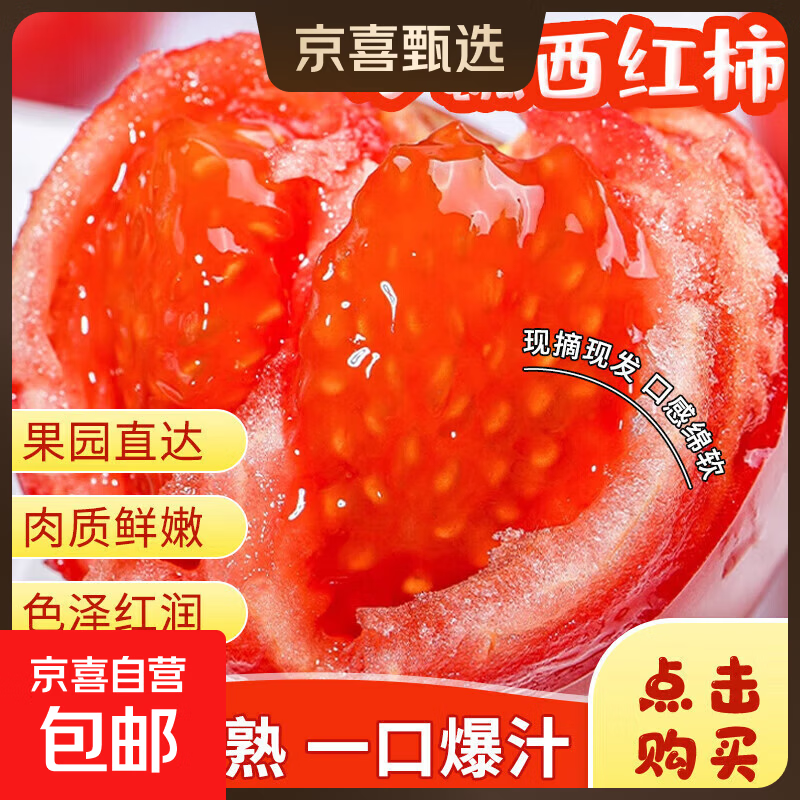 农家沙瓤西红柿新鲜可生吃水果番茄农家自种当季生鲜蔬菜 带箱【小果50克+】 2斤