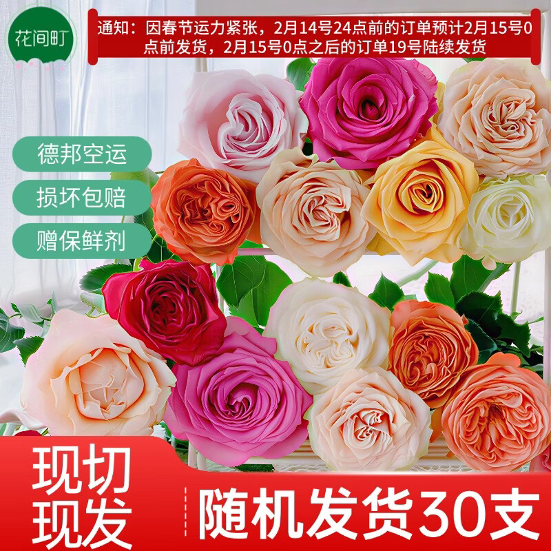 花间町随机玫瑰鲜花30枝基地花束云南昆明直发水养批发混搭花束源头直发